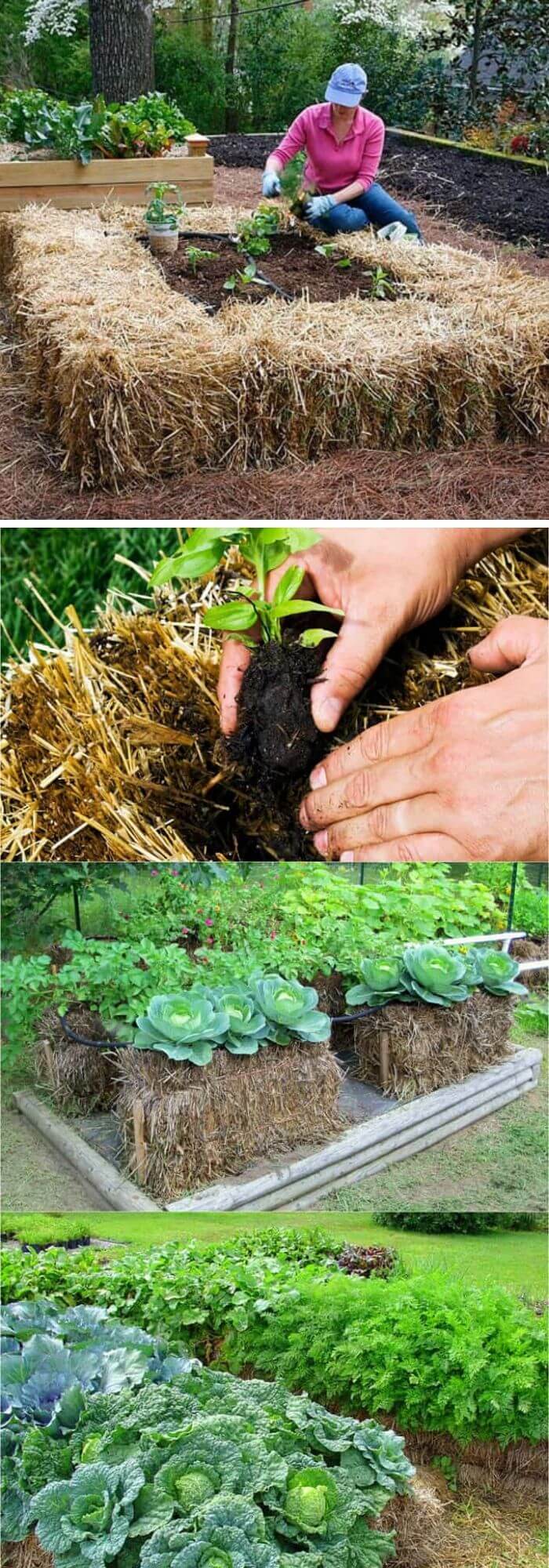 20 Awesome Diy Raised Garden Bed Ideas Plans With Instructions