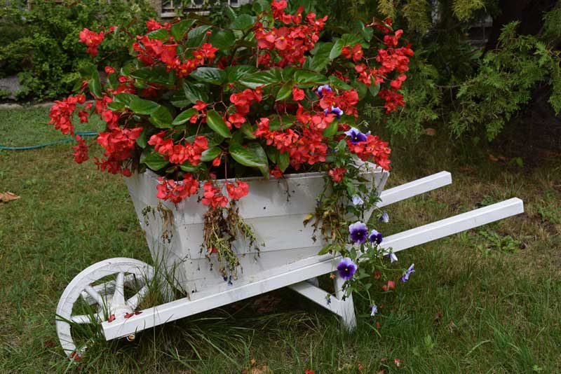 30+ Awesome DIY Wheelbarrow Planter Ideas &amp; Projects For Your Garden