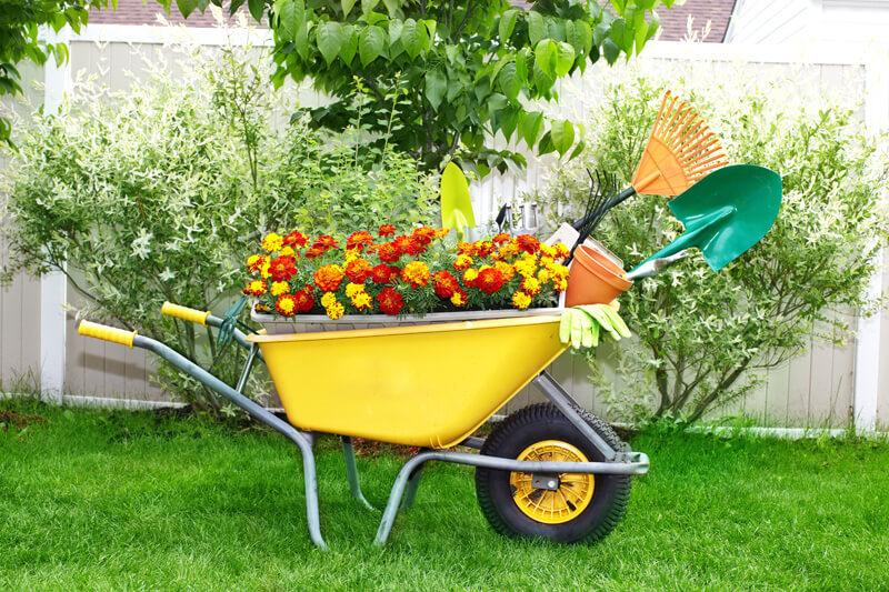 30+ Awesome DIY Wheelbarrow Planter Ideas & Projects For Your Garden