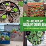 20+ DIY Indoor Outdoor Succulent Gardening Ideas