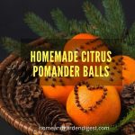 Homemade Citrus Pomander Balls