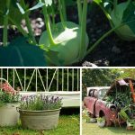 An Overview of Five Popular Gardening Styles