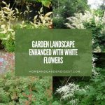 Garden Landscape Enhanced With White Flowers