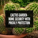 Cactus Garden - Home Security With Prickly Protection