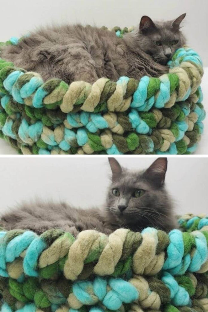 15 Best Pet Bed Crochet Free Patterns & Instructions (With Pictures)