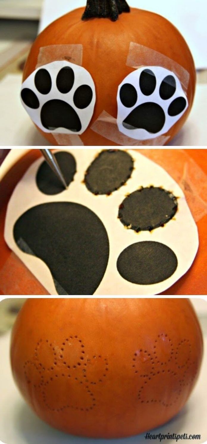 15-fun-diy-puppy-paw-print-craft-projects-instructions