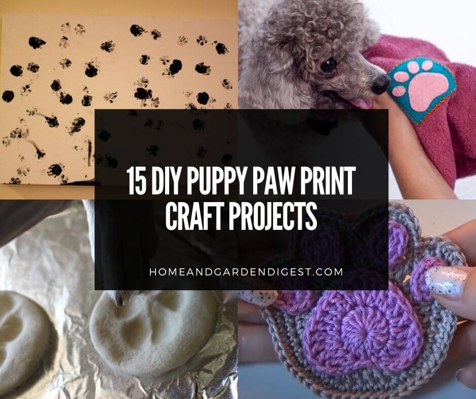 15-fun-diy-puppy-paw-print-craft-projects-instructions