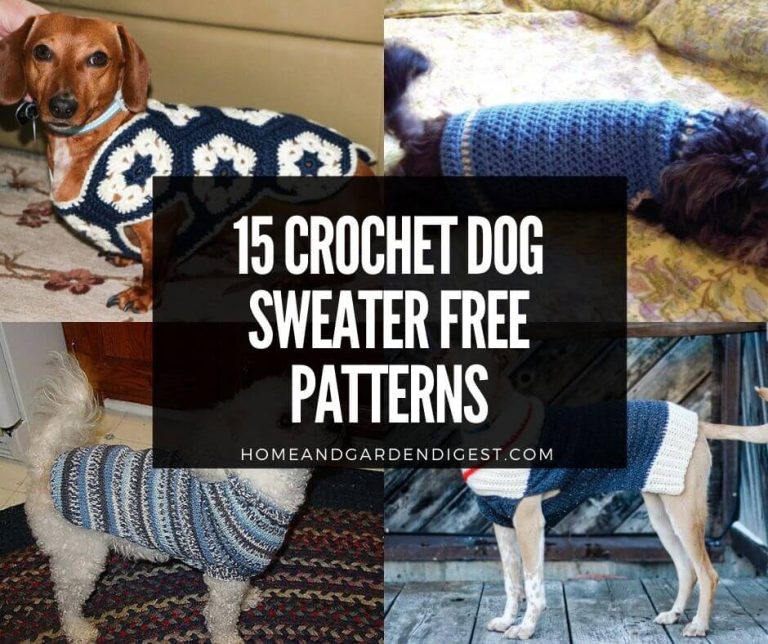 15 Crochet Dog Sweater Free Patterns & Instructions (With Photos)