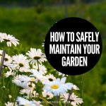 How to Safely Maintain your Garden