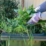 How to Find the Best Services for Removing Garden Rubbish