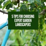 5 Tips For Choosing Expert Garden Landscapers