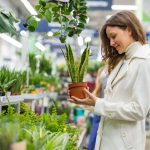 A Guide to Choose the Right Indoor Plants for Your Home