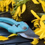 How to Take Proper Care of the Tools You Use to Maintain a Beautiful Garden