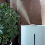 Types of Cool Mist Humidifier and Their Benefits for Your Home