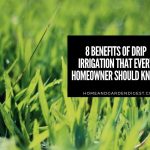 8 Benefits Of Drip Irrigation That Every Homeowner Should Know