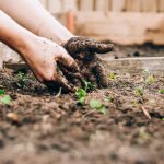 4 Gardening Tips For A Greener Environment