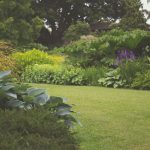 6 Tips That Will Help Your Yard Flourish