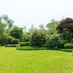 The Benefits of Backyard Landscape Design