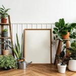 The Top 4 Indoor Gardening Care Tips