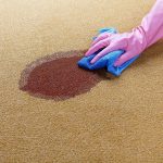Top Tips for Getting Rid of Carpet Stains