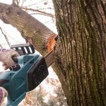 What Tools Can You Use To Trim Trees?