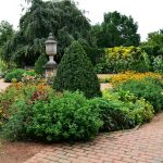 Landscaping Tips And Tricks You Will Want To Try