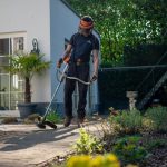 Top 6 Pest Solutions For Your Garden